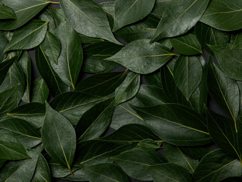 Green collection