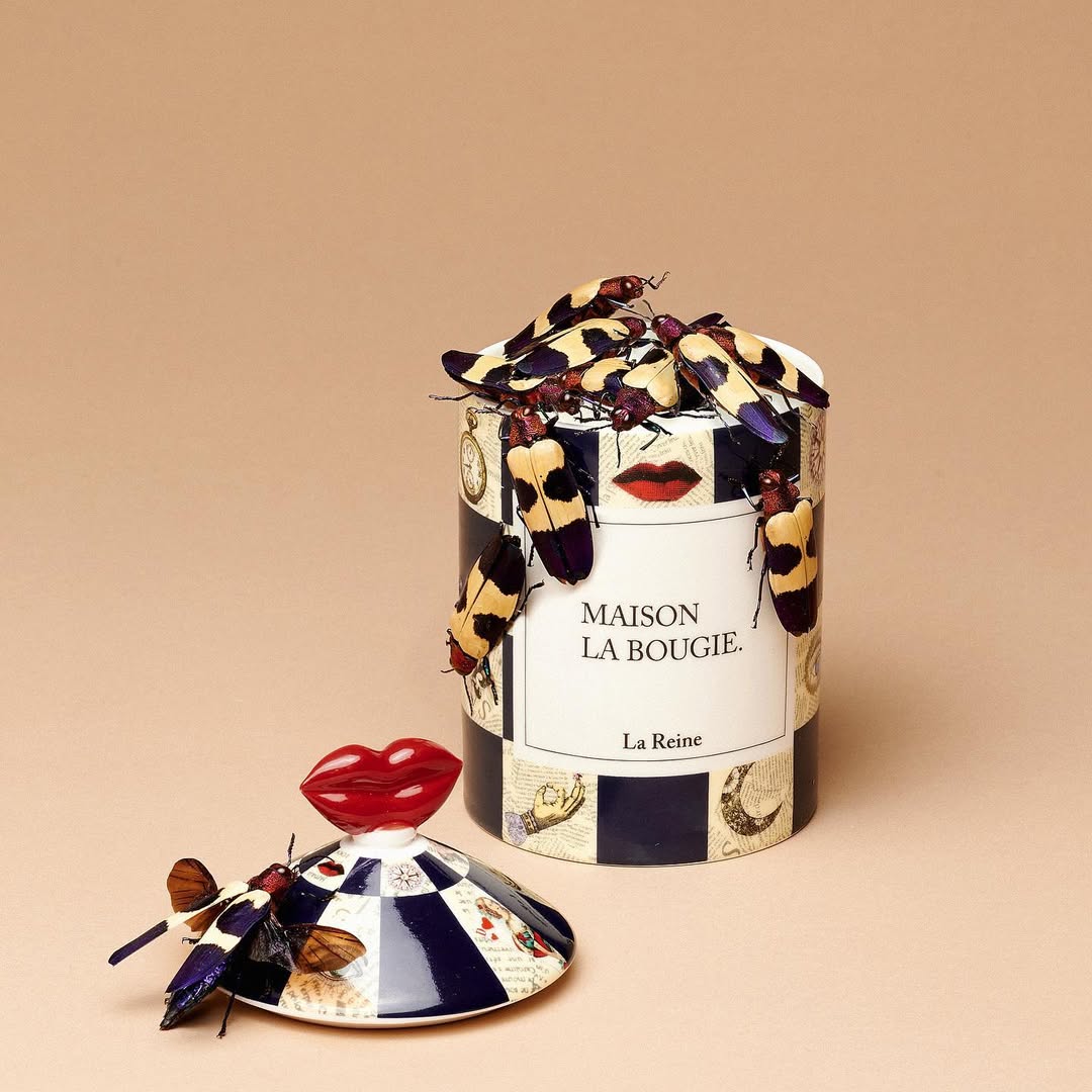 MAISON LA BOUGIE